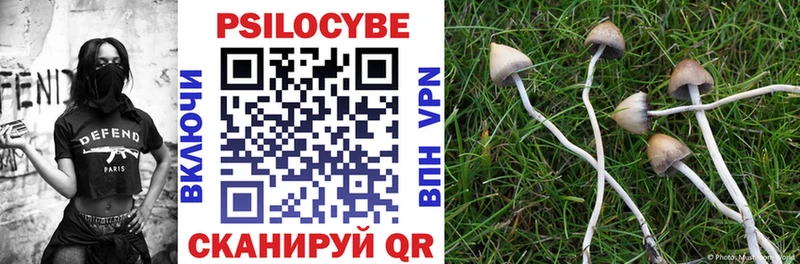 OMG ТОР Невьянск Галлюциногенные грибы Psilocybine cubensis